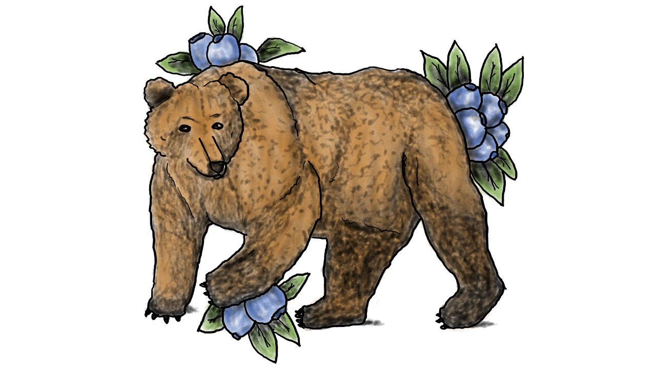 Blueberry Bear