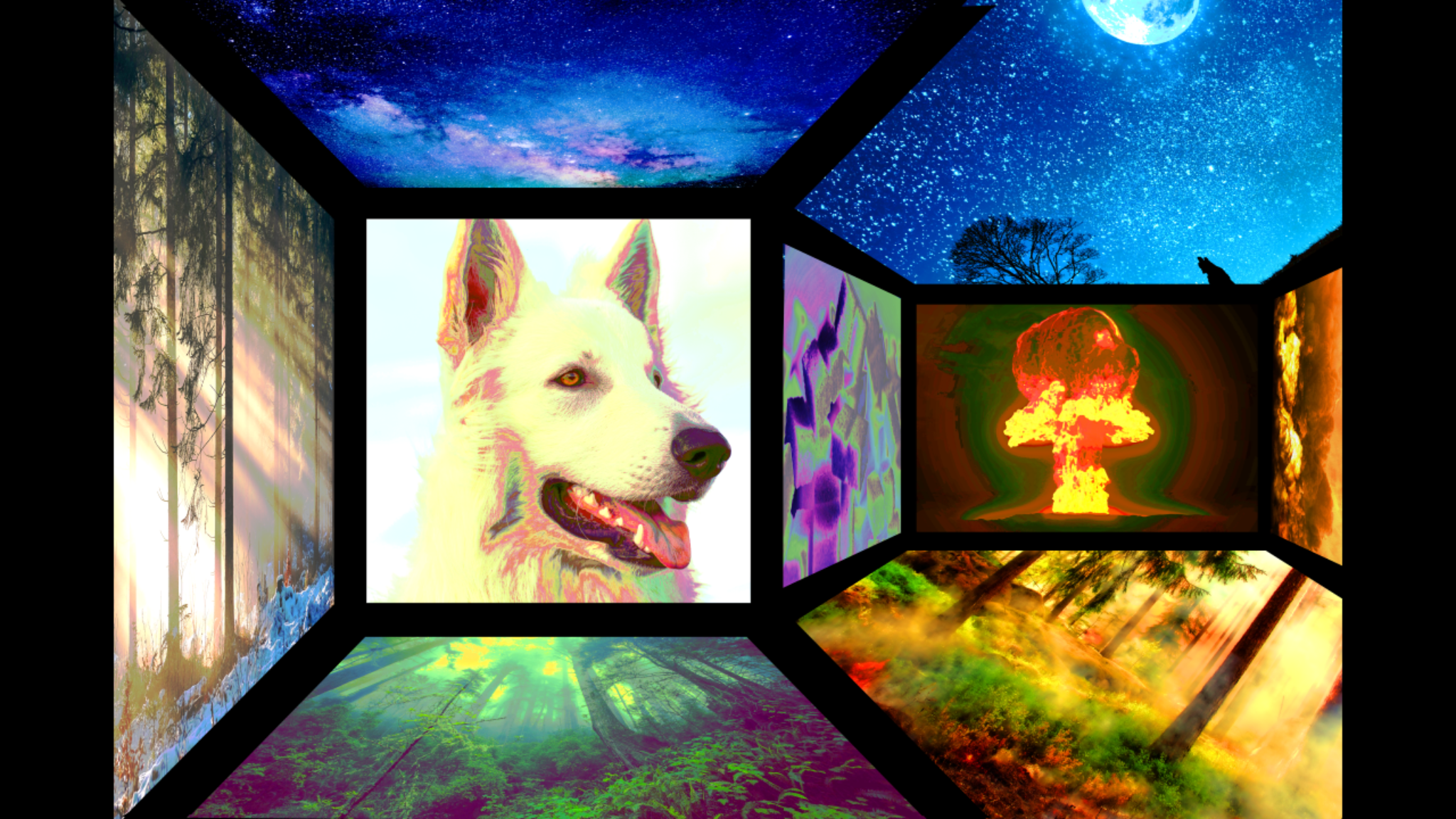 Panels of Existence I